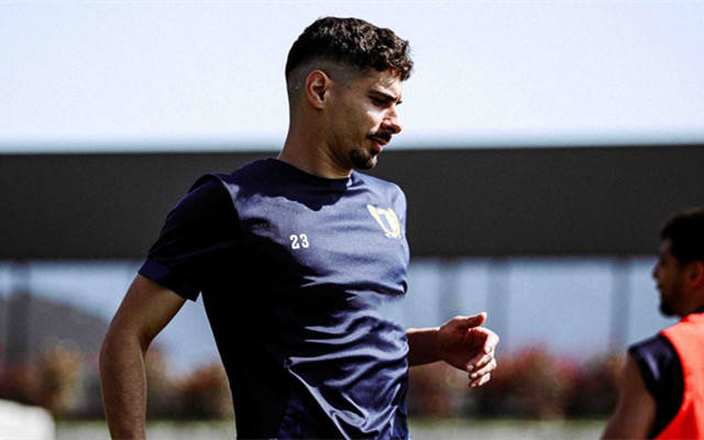 开云体育网址 -关于葡超转会期再迎强敌，里昂再遭质疑，主帅态度——信心回归，细节决定成败的信息